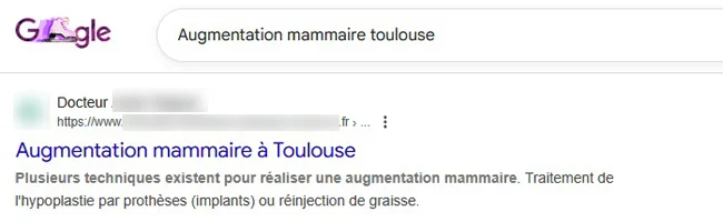 Requête 1 avec la vraie meta description